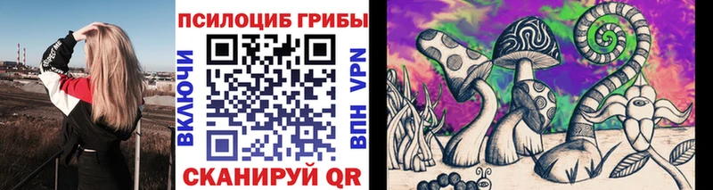 купить закладку  Буинск  Псилоцибиновые грибы MAGIC MUSHROOMS 
